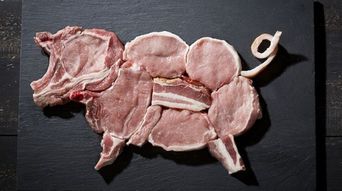 韓國入境新規(guī)升級 肉制品全面禁帶，違者最高罰6萬